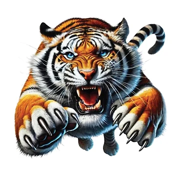 Artwork thumbnail, TigerSticker by hsstudio2025