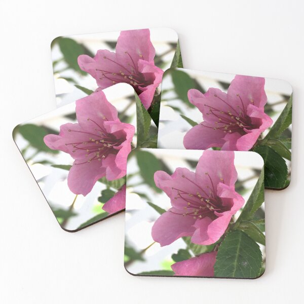 Item preview, Peach Blossoms designed and sold by Betsy Phillips.