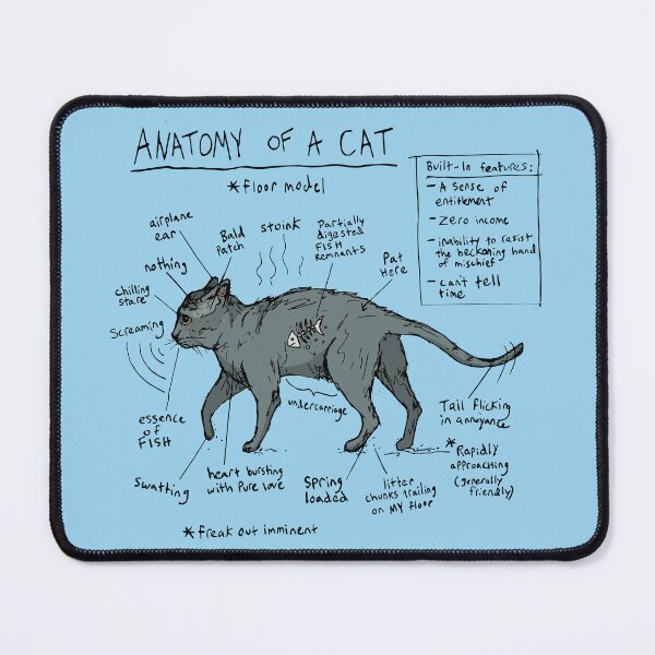 Item preview, ANATOMY OF A CAT designed and sold by olivia-krig.