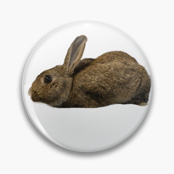 Item preview, Lieutenant Dan the Bunny Rabbit designed and sold by WestmeisterFarm.