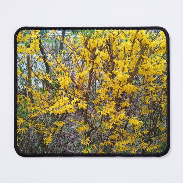 Item preview, Yellow bush flowers :) designed and sold by Myriel-Myriel.