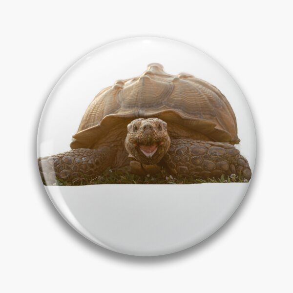 Item preview, Oscar the African Sulcata Tortoise designed and sold by WestmeisterFarm.