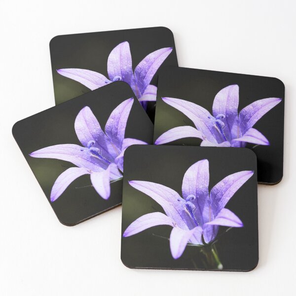 Item preview, Flowers (MKW-F.104) designed and sold by Katrina Morgan.