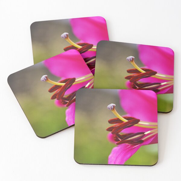 Item preview, Pink As The Lily designed and sold by Joy Watson - Natural Light Photography .