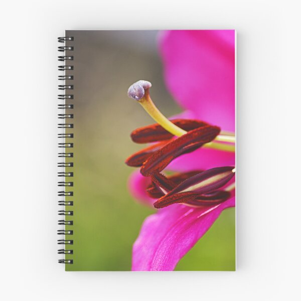 Item preview, Pink As The Lily designed and sold by Joy Watson - Natural Light Photography .