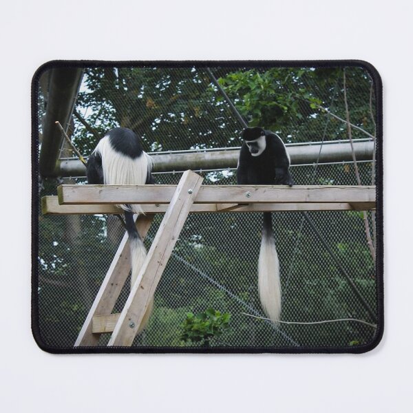 Item preview, Double trouble designed and sold by Belles-Photos.
