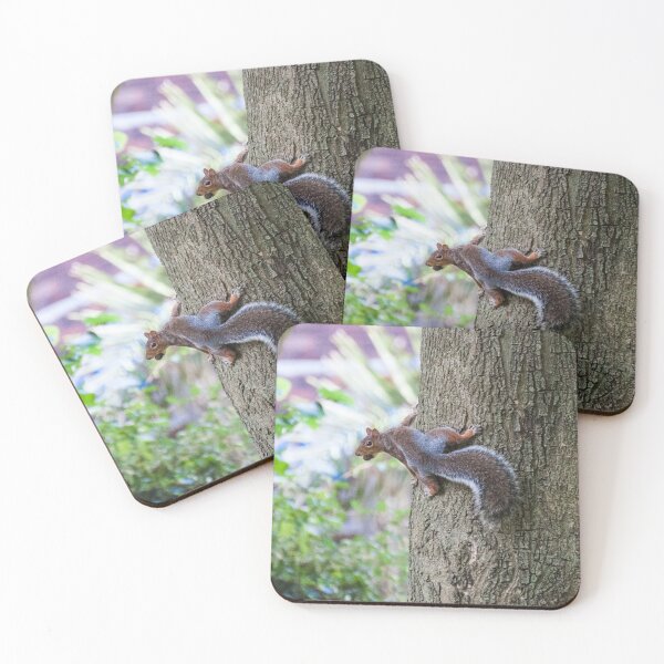 Item preview, Nutty the Squirrel designed and sold by Aimée Wilson.