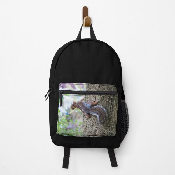 Item preview, Nutty the Squirrel designed and sold by Aimée Wilson.