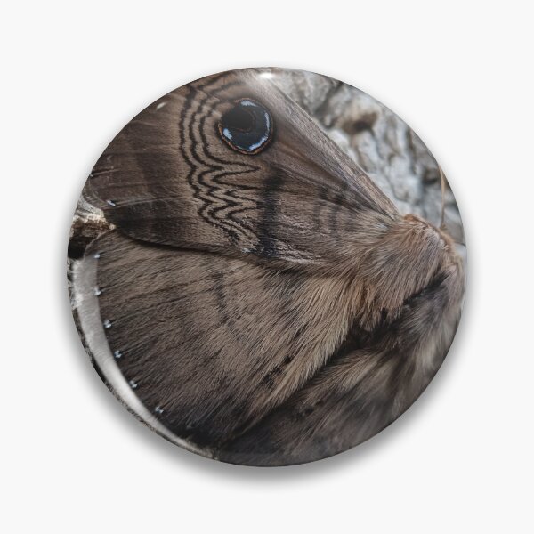 Item preview, Southern Moon Moth designed and sold by Jimbo McCoy.
