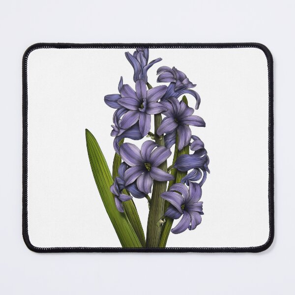 Item preview, Hyacinth designed and sold by TasiaZenzura.