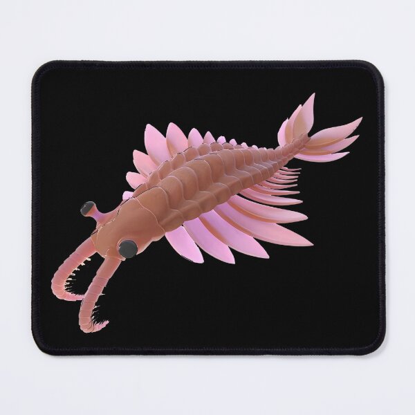 Item preview, Anomalocaris Cambrian Fossil designed and sold by Marchezin Digital.
