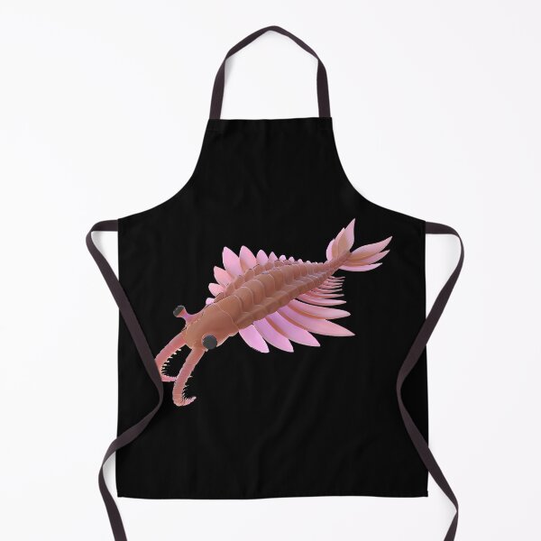 Item preview, Anomalocaris Cambrian Fossil designed and sold by Marchezin Digital.