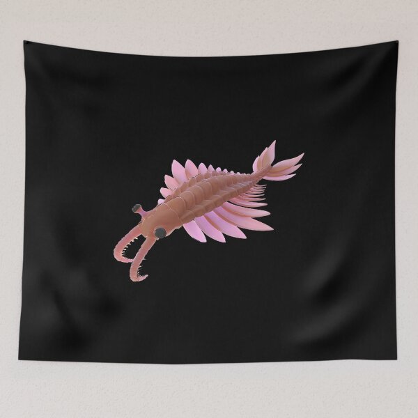 Item preview, Anomalocaris Cambrian Fossil designed and sold by Marchezin Digital.