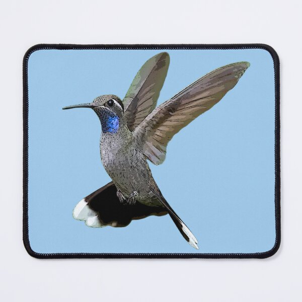 Item preview, Blue-throated Mountain-gem Hummingbird Color Design  designed and sold by designsasstultd.