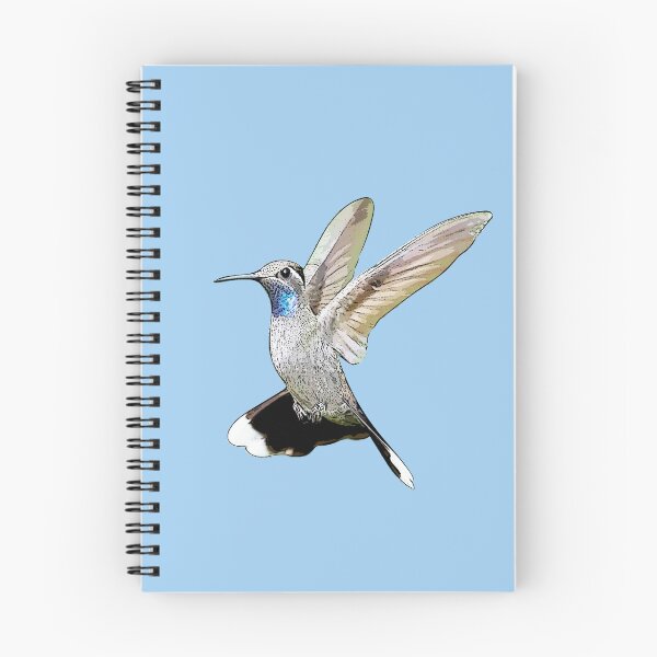 Item preview, Blue-throated Mountain-gem Hummingbird Black Alternate Design  designed and sold by designsasstultd.