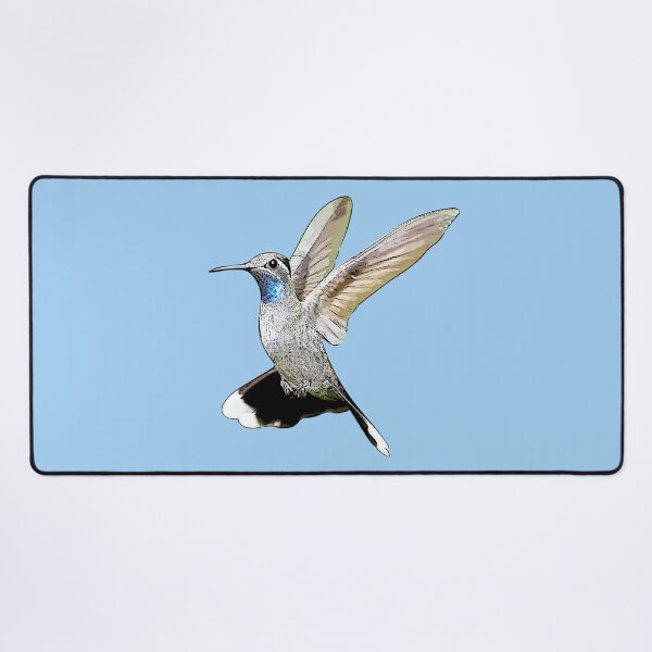 Item preview, Blue-throated Mountain-gem Hummingbird Black Alternate Design  designed and sold by designsasstultd.
