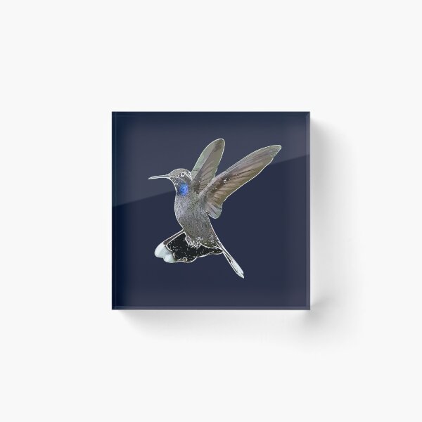 Item preview, Blue-throated Mountain-gem Hummingbird White Alternate Design  designed and sold by designsasstultd.