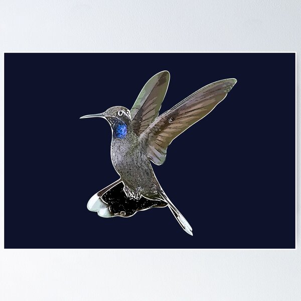 Item preview, Blue-throated Mountain-gem Hummingbird White Alternate Design  designed and sold by designsasstultd.