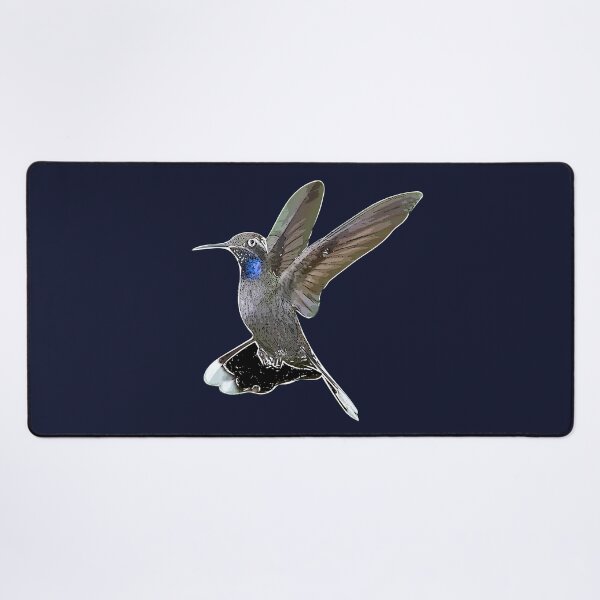 Item preview, Blue-throated Mountain-gem Hummingbird White Alternate Design designed and sold by designsasstultd.