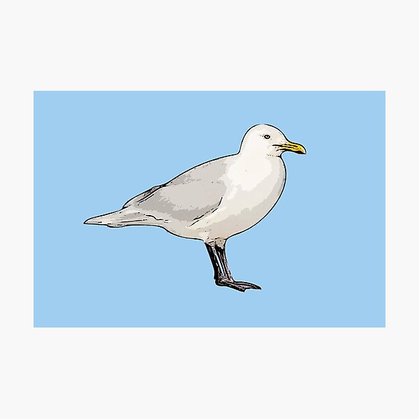 Item preview, Glaucous Gull Black Alternate Design  designed and sold by designsasstultd.