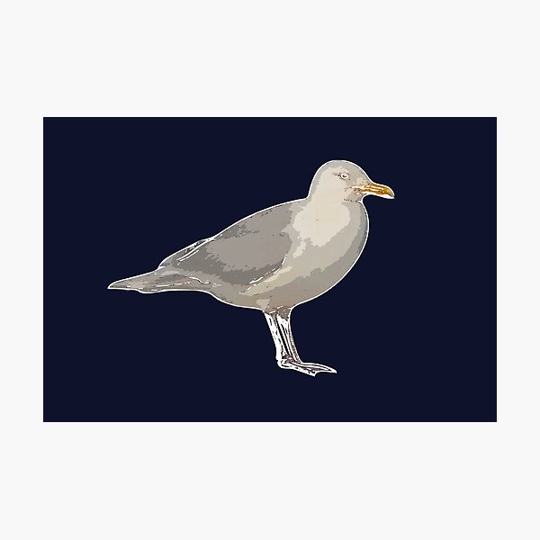 Item preview, Glaucous Gull White Alternate Design  designed and sold by designsasstultd.