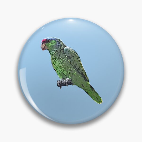 Item preview, Lilac-crowned Finsch's Amazon Color Design  designed and sold by designsasstultd.