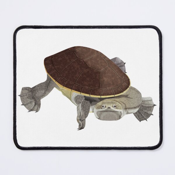Item preview, Northern Snake-necked Turtle designed and sold by Rie-TortoTurtle.