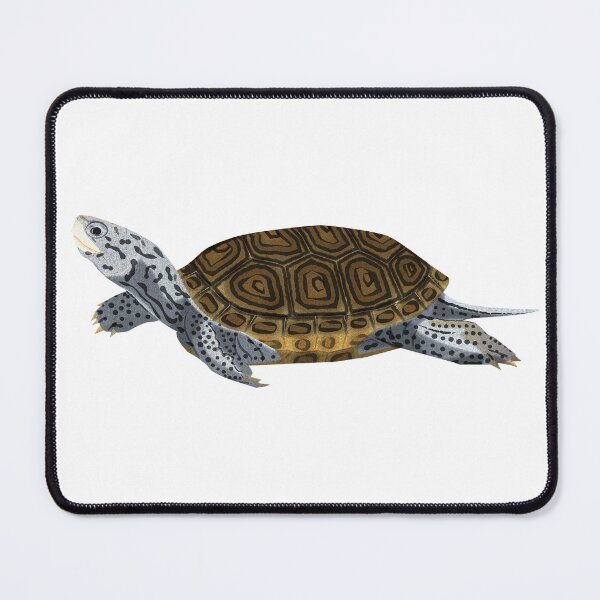Item preview, Diamondback Terrapin designed and sold by Rie-TortoTurtle.