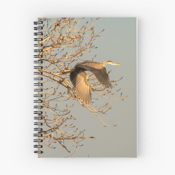 Item preview, Great Blue Heron Stole My Attention  designed and sold by Debra Martz.