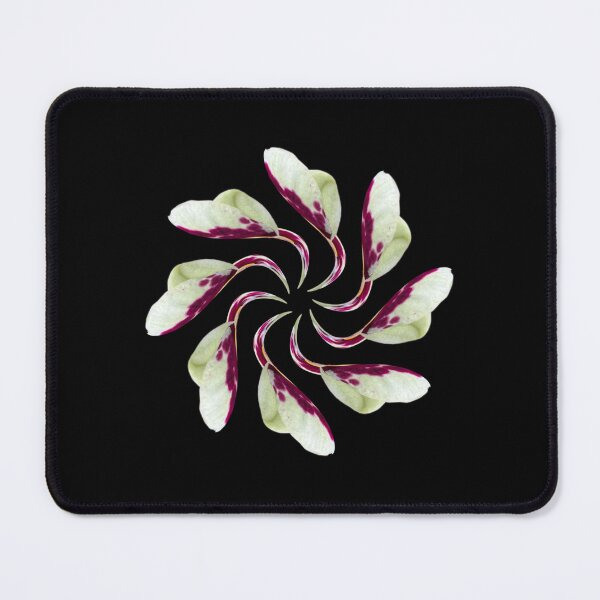 Item preview, Floral mandala designed and sold by Meo Design.