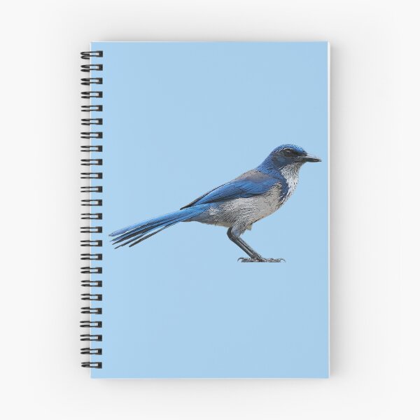 Item preview, Island Scrub Santa Cruz Jay Color Design  designed and sold by designsasstultd.