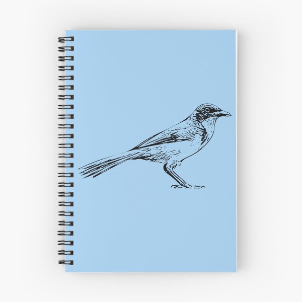 Item preview, Island Scrub Santa Cruz Jay Black Design  designed and sold by designsasstultd.
