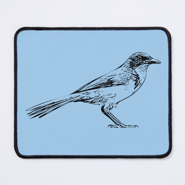 Item preview, Island Scrub Santa Cruz Jay Black Design  designed and sold by designsasstultd.