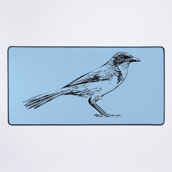 Item preview, Island Scrub Santa Cruz Jay Black Design  designed and sold by designsasstultd.