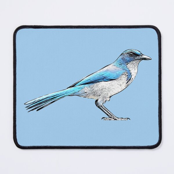Item preview, Island Scrub Santa Cruz Jay Black Alternate Design  designed and sold by designsasstultd.