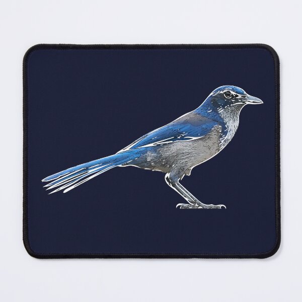 Item preview, Island Scrub Santa Cruz Jay White Alternate Design  designed and sold by designsasstultd.