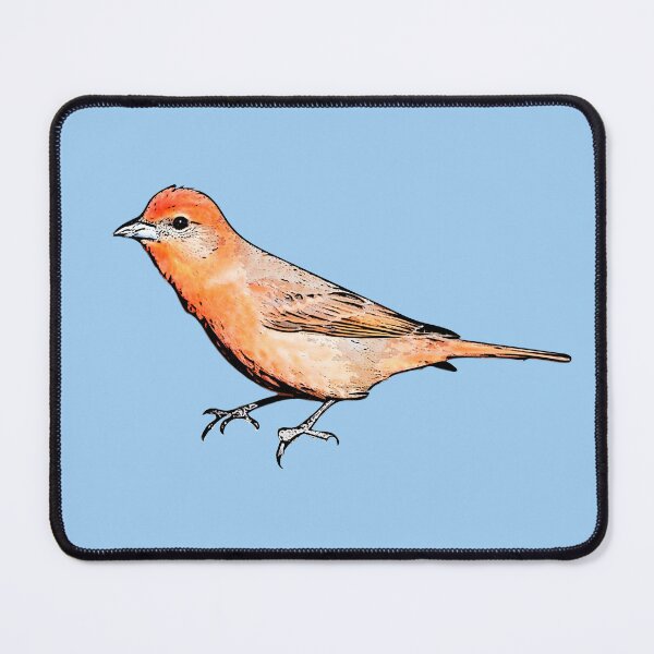 Item preview, Hepatic Tanager Black Alternate Design designed and sold by designsasstultd.