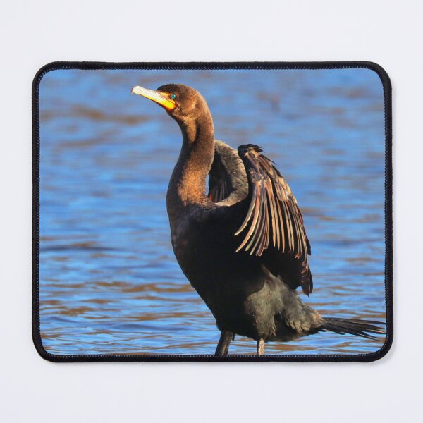 Item preview, Cormorant  designed and sold by Parks and X.
