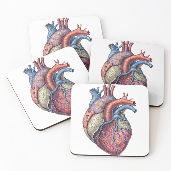 Item preview, Anatomically Accurate Illustration of a Human Heart on Black Background designed and sold by Creative88Art.
