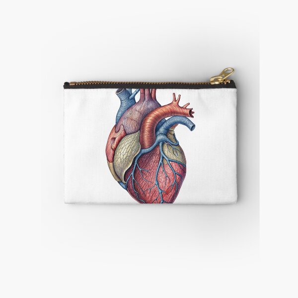 Item preview, Anatomically Accurate Illustration of a Human Heart on Black Background designed and sold by Creative88Art.
