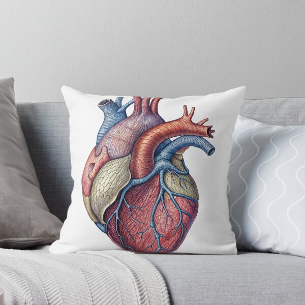 Item preview, Anatomically Accurate Illustration of a Human Heart on Black Background designed and sold by Creative88Art.