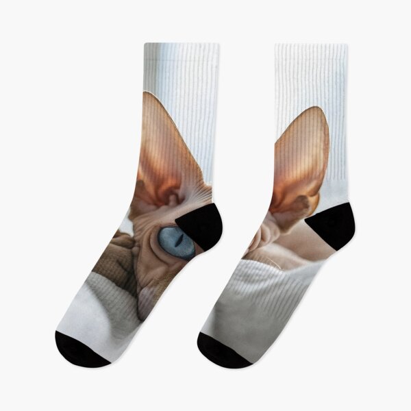 Item preview, Cat with striking blue eyes relaxes designed and sold by anytka.