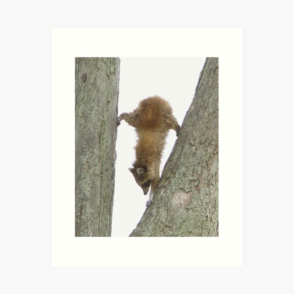 Bottoms Up. Art Print