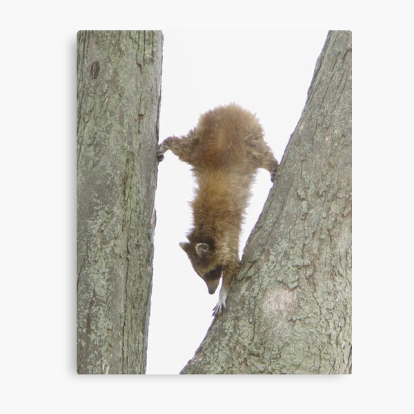 Bottoms Up. Metal Print