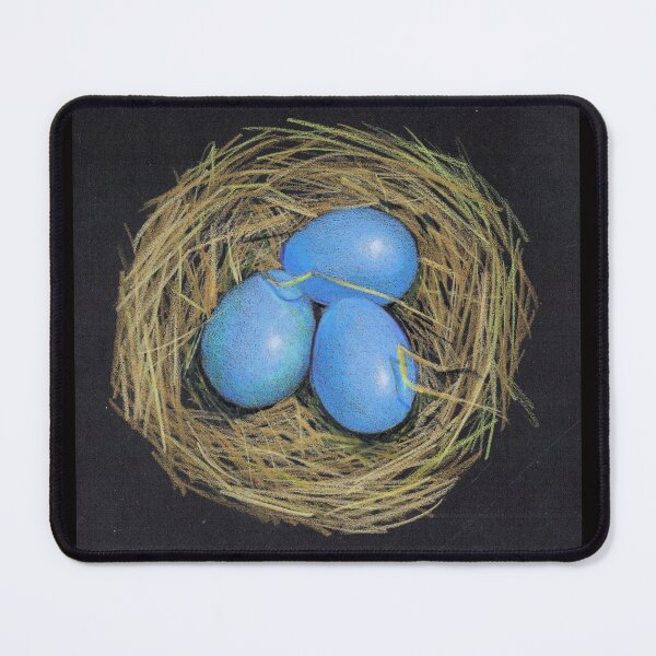 Item preview, Blue Bird's Eggs in Nest, Color Pencil on Black, Nature, Wildlife designed and sold by JoyfulWhimsy.