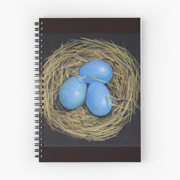 Item preview, Blue Bird's Eggs in Nest, Color Pencil on Black, Nature, Wildlife designed and sold by JoyfulWhimsy.
