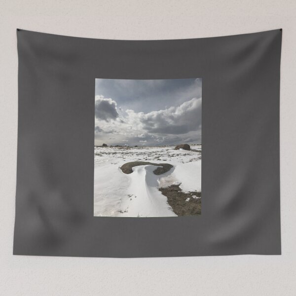 Item preview, Snowdrift at Vedauwoo designed and sold by Mountain Westscapes.