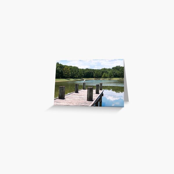 A white bird at the dock Greeting Card