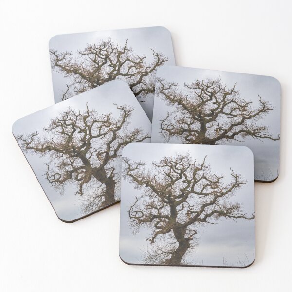 Item preview, Ancient Oak Tree in Winter designed and sold by ADCImages.
