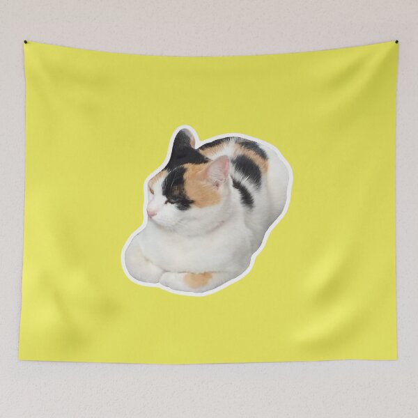Item preview, MEME - Judgy Cat (Collection5-7) designed and sold by MetichaiTH.